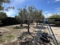 2 Bed 1 Bath Finca for sale in la Romana. in Real Estate Alicante