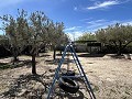 2 Bed 1 Bath Finca for sale in la Romana. in Real Estate Alicante