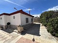 2 Bed 1 Bath Finca for sale in la Romana. in Real Estate Alicante