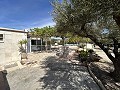 2 Bed 1 Bath Finca for sale in la Romana. in Real Estate Alicante