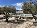 2 Bed 1 Bath Finca for sale in la Romana. in Real Estate Alicante