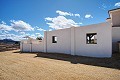 Belle villa de 4 chambres et 3 salles de bains à Pinoso. (Prix fixe) in Real Estate Alicante