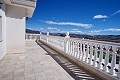 Belle villa de 4 chambres et 3 salles de bains à Pinoso. (Prix fixe) in Real Estate Alicante