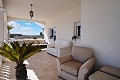 Belle villa de 4 chambres et 3 salles de bains à Pinoso. (Prix fixe) in Real Estate Alicante