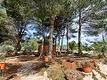 Lovely 5 bed 1 Bath Villa near the Town of Sax in Real Estate Alicante