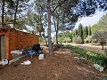 Lovely 5 bed 1 Bath Villa near the Town of Sax in Real Estate Alicante