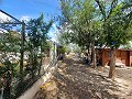 Lovely 5 bed 1 Bath Villa near the Town of Sax in Real Estate Alicante