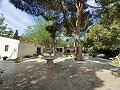Lovely 5 bed 1 Bath Villa near the Town of Sax in Real Estate Alicante