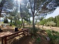 Lovely 5 bed 1 Bath Villa near the Town of Sax in Real Estate Alicante