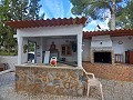 Lovely 5 bed 1 Bath Villa near the Town of Sax in Real Estate Alicante