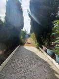 Lovely 5 bed 1 Bath Villa near the Town of Sax in Real Estate Alicante