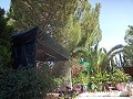 Lovely 5 bed 1 Bath Villa near the Town of Sax in Real Estate Alicante