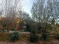 Lovely 5 bed 1 Bath Villa near the Town of Sax in Real Estate Alicante
