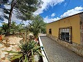 Lovely 5 bed 1 Bath Villa near the Town of Sax in Real Estate Alicante