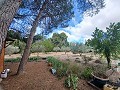 Lovely 5 bed 1 Bath Villa near the Town of Sax in Real Estate Alicante