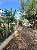 Lovely 5 bed 1 Bath Villa near the Town of Sax in Real Estate Alicante
