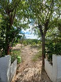 Lovely 5 bed 1 Bath Villa near the Town of Sax in Real Estate Alicante