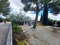 Lovely 5 bed 1 Bath Villa near the Town of Sax in Real Estate Alicante