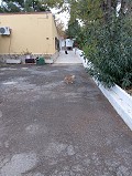 Lovely 5 bed 1 Bath Villa near the Town of Sax in Real Estate Alicante
