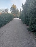 Lovely 5 bed 1 Bath Villa near the Town of Sax in Real Estate Alicante