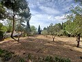 Lovely 5 bed 1 Bath Villa near the Town of Sax in Real Estate Alicante