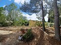 Lovely 5 bed 1 Bath Villa near the Town of Sax in Real Estate Alicante