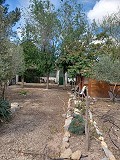 Lovely 5 bed 1 Bath Villa near the Town of Sax in Real Estate Alicante
