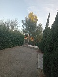 Lovely 5 bed 1 Bath Villa near the Town of Sax in Real Estate Alicante