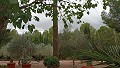 Lovely 5 bed 1 Bath Villa near the Town of Sax in Real Estate Alicante