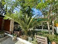 Lovely 5 bed 1 Bath Villa near the Town of Sax in Real Estate Alicante