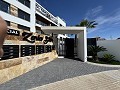 Penthouse de 2 chambres à Playa Flamenca in Real Estate Alicante