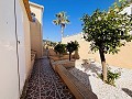 Villa de 7 chambres à San Miguel de Salinas in Real Estate Alicante