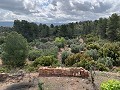 Superbe maison de campagne avec 4 chambres et terrain de 20 000 m2 in Real Estate Alicante