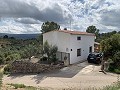 Superbe maison de campagne avec 4 chambres et terrain de 20 000 m2 in Real Estate Alicante