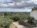 Superbe maison de campagne avec 4 chambres et terrain de 20 000 m2 in Real Estate Alicante