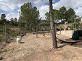 Superbe maison de campagne avec 4 chambres et terrain de 20 000 m2 in Real Estate Alicante