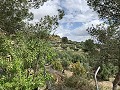 Superbe maison de campagne avec 4 chambres et terrain de 20 000 m2 in Real Estate Alicante