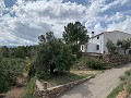 Superbe maison de campagne avec 4 chambres et terrain de 20 000 m2 in Real Estate Alicante