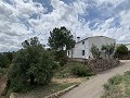 Superbe maison de campagne avec 4 chambres et terrain de 20 000 m2 in Real Estate Alicante