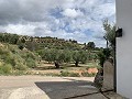 Superbe maison de campagne avec 4 chambres et terrain de 20 000 m2 in Real Estate Alicante