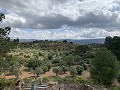 Superbe maison de campagne avec 4 chambres et terrain de 20 000 m2 in Real Estate Alicante