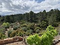 Superbe maison de campagne avec 4 chambres et terrain de 20 000 m2 in Real Estate Alicante