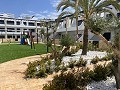 3 Schlafzimmer Bungalow in Punta Prima in Real Estate Alicante