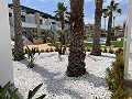 3 Schlafzimmer Bungalow in Punta Prima in Real Estate Alicante