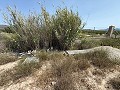 Fabelhafte, zu 70 % fertiggestellte Neubauvilla mit 7 Schlafzimmern und 4 Badezimmern zum Verkauf in Salinas. in Real Estate Alicante
