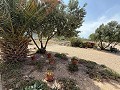 Fabelhafte, zu 70 % fertiggestellte Neubauvilla mit 7 Schlafzimmern und 4 Badezimmern zum Verkauf in Salinas. in Real Estate Alicante