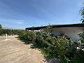 Lovely 4 Bedroom 2 Bath Villa in Villena with pool  in Real Estate Alicante