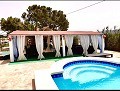 Lovely 4 Bedroom 2 Bath Villa in Villena with pool  in Real Estate Alicante