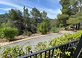 Stunning 5 Bed 2 Bath Traditional Villa in 140,000m2 of Woodland in Sax in Real Estate Alicante