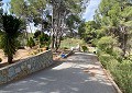 Stunning 5 Bed 2 Bath Traditional Villa in 140,000m2 of Woodland in Sax in Real Estate Alicante